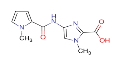 4-(1-methylpyrrole-2-carboxamido)-1-methylimidazole-2-carboxylic acid
